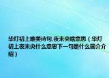 華燈初上唯美詩句,夜未央啥意思（華燈初上夜未央什么意思下一句是什么簡介介紹）