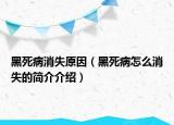 黑死病消失原因（黑死病怎么消失的簡介介紹）