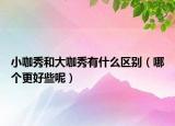 小咖秀和大咖秀有什么區(qū)別（哪個更好些呢）