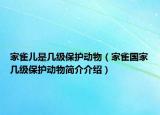 家雀兒是幾級保護動物（家雀國家?guī)准壉Ｗo動物簡介介紹）