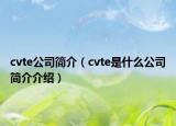 cvte公司簡(jiǎn)介（cvte是什么公司簡(jiǎn)介介紹）