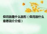 仰月唇是什么唇形（仰月唇什么意思簡(jiǎn)介介紹）