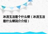 冰清玉潔是個(gè)什么梗（冰清玉潔是什么梗簡(jiǎn)介介紹）