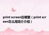 print screen在哪里（print screen怎么用簡介介紹）