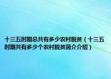 十三五時期總共有多少農(nóng)村脫貧（十三五時期共有多少個農(nóng)村脫貧簡介介紹）