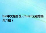 fun中文是什么（fun什么意思簡介介紹）