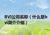 BVI公司名稱（什么是bvi簡介介紹）