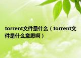 torrent文件是什么（torrent文件是什么意思啊）