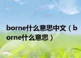 borne什么意思中文（borne什么意思）