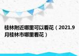 桂林附近哪里可以看花（2021.9月桂林市哪里看花）