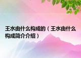 王水由什么構(gòu)成的（王水由什么構(gòu)成簡介介紹）