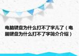 電腦鍵盤為什么打不了字兒了（電腦鍵盤為什么打不了字簡介介紹）