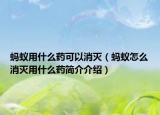 螞蟻用什么藥可以消滅（螞蟻怎么消滅用什么藥簡(jiǎn)介介紹）