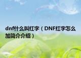 dnf什么叫紅字（DNF紅字怎么加簡(jiǎn)介介紹）