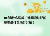 nsf由什么構(gòu)成（誰知道NSF的意思是什么簡介介紹）