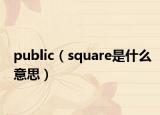 public（square是什么意思）