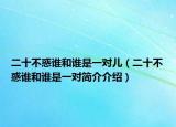 二十不惑誰和誰是一對兒（二十不惑誰和誰是一對簡介介紹）