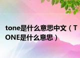 tone是什么意思中文（TONE是什么意思）