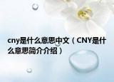 cny是什么意思中文（CNY是什么意思簡介介紹）