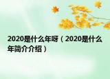 2020是什么年呀（2020是什么年簡介介紹）