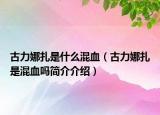 古力娜扎是什么混血（古力娜扎是混血嗎簡介介紹）