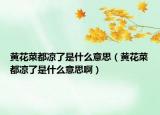 黃花菜都涼了是什么意思（黃花菜都涼了是什么意思?。? /></span></a>
                        <h2><a href=