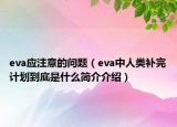 eva應注意的問題（eva中人類補完計劃到底是什么簡介介紹）