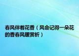 春風(fēng)伴著花香（風(fēng)會記得一朵花的香春風(fēng)暖賞析）