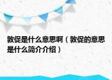 敦促是什么意思?。ǘ卮俚囊馑际鞘裁春喗榻榻B）