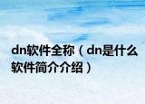 dn軟件全稱（dn是什么軟件簡介介紹）