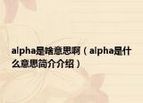 alpha是啥意思?。╝lpha是什么意思簡(jiǎn)介介紹）