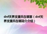 dnf天界支援兵在哪里（dnf天界支援兵在哪簡介介紹）