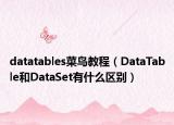 datatables菜鳥教程（DataTable和DataSet有什么區(qū)別）