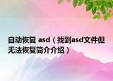 自動(dòng)恢復(fù) asd（找到asd文件但無(wú)法恢復(fù)簡(jiǎn)介介紹）