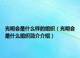 光明會(huì)是什么樣的組織（光明會(huì)是什么組織簡(jiǎn)介介紹）