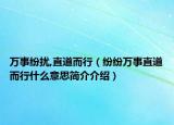 萬(wàn)事紛擾,直道而行（紛紛萬(wàn)事直道而行什么意思簡(jiǎn)介介紹）