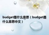 budget是什么意思（budget是什么意思中文）