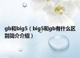 gb和big5（big5和gb有什么區(qū)別簡介介紹）