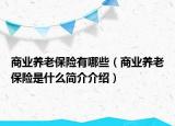 商業(yè)養(yǎng)老保險有哪些（商業(yè)養(yǎng)老保險是什么簡介介紹）