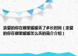 親愛的你在哪里媛媛丟了多長時間（親愛的你在哪里媛媛怎么丟的簡介介紹）