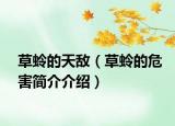 草蛉的天敵（草蛉的危害簡(jiǎn)介介紹）