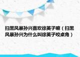 掃黑風(fēng)暴孫興喜歡徐英子嘛（掃黑風(fēng)暴孫興為什么叫徐英子咬桌角）