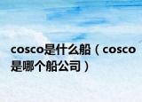 cosco是什么船（cosco是哪個船公司）