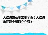 天涯海角在哪里哪個?。ㄌ煅暮＝窃谀膫€省簡介介紹）