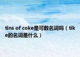 tins of coke是可數(shù)名詞嗎（tike的名詞是什么）