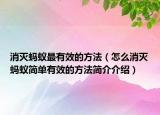 消滅螞蟻?zhàn)钣行У姆椒ǎㄔ趺聪麥缥浵伜唵斡行У姆椒ê喗榻榻B）