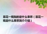 曇花一現(xiàn)指的是什么意思（曇花一現(xiàn)是什么意思簡介介紹）