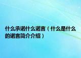 什么承諾什么諾言（什么是什么的諾言簡介介紹）