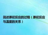 簡述原初反應(yīng)的過程（原初反應(yīng)與溫度的關(guān)系）