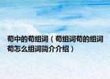 茍中的茍組詞（茍組詞茍的組詞茍怎么組詞簡介介紹）